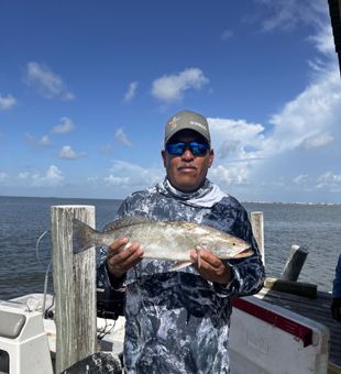 Galveston Fishing Dreams: Speckled Trout Delight 